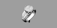 Anillo tronco | 3D