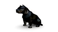 American Bully low poly | 3D
