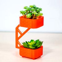 Bosco V | 3D