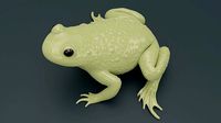 Bombina Variegata Fire-bellied mountain toad frog 3d printing  | 3D