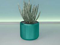 succulent pot plant 32 B | 3D