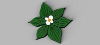 Dogwood Flower | 3D