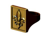 Large heraldic lily rectangular ring size 6to13 | 3D