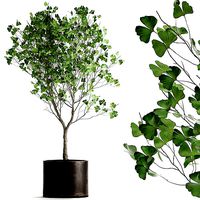 Decorative tree in a flowerpot for the interior 1012