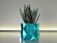 succulent plant pot 19 | 3D