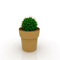 Plant 3D Model