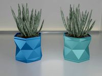 pot plant succulent 16 | 3D
