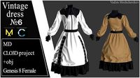 Vintage Dress 6