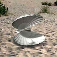 Shell 3D Model