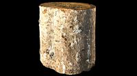 Fir stump for splitting firewood