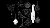 Cobweb collection