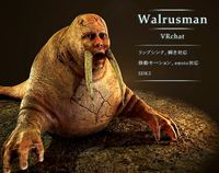 Walrus man