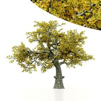 tree White Oak Fall  trees Models in the scene