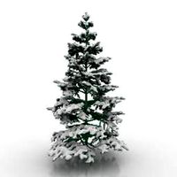Tree 3D Model
