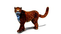 Fur Leopard Rigged