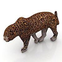 Leopard 3D Model