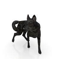 Wolf 3D Model