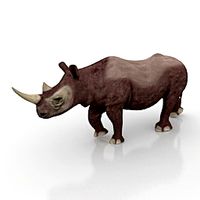 Rhino 3D Model