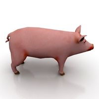 Pig 3D Model