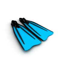 Fins 3D Model