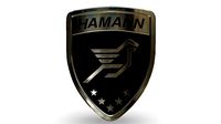 hamann logo