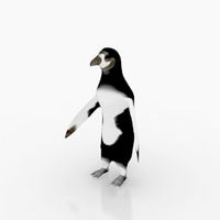 Penguin 3D Model