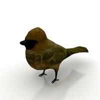 Bird 3D Model