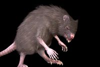 WereRat