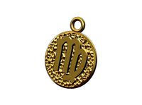 Virgo sign coin pendant and charm | 3D