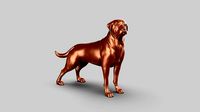 Rottweiler Pose 02 | 3D