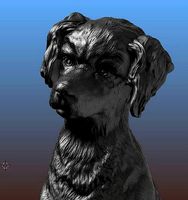 Spaniel | 3D