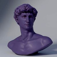 Michelangelos Statue of David Bust Optimized for 3Dprinting | 3D