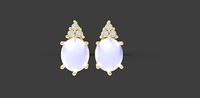 Cabochon Earrings | 3D