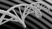 Helix DNA | 3D