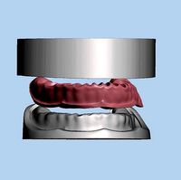Dental model Mold for making silicone gum | 3D