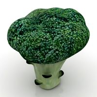 Broccoli 3D Model