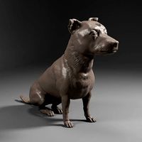 Terrier Dachshund SRD - Dog Pet 02 | 3D