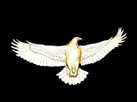 eagle for jewelry 1225 | 3D