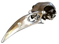 Cranium Charm Raven Silver | 3D