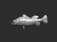 PEIXE TUCUNARE - BRASILEIRO --- TUCUNARE FISH - BRAZILIAN | 3D