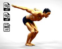 N1 swimmer is diving | 3D