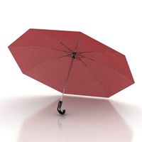 Umbrella 3D Model