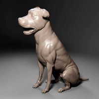 Pitbull - Dog Pet 01 | 3D