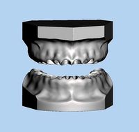 Ortho model style base for typodont | 3D