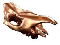 Cranium Charm Rhino Bronze | 3D