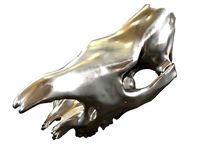 Cranium Charm Rhino Silver | 3D