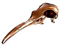 Cranium Charm Penguin Bronze | 3D