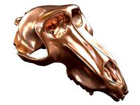 Cranium Charm Baboon Bronze | 3D
