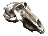 Cranium Charm Baboon Silver | 3D
