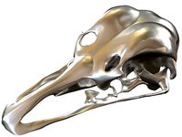 Cranium Charm Ostrich | 3D